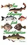 Sea Angling Fish Identification [UK]