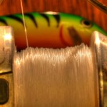 Fishing tips for beginners part 6 Sea Fishing tackle