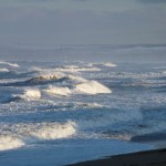 The Best Baits for North Sea Fishing