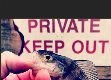 hrf-lrf-lure-fishing-blogs