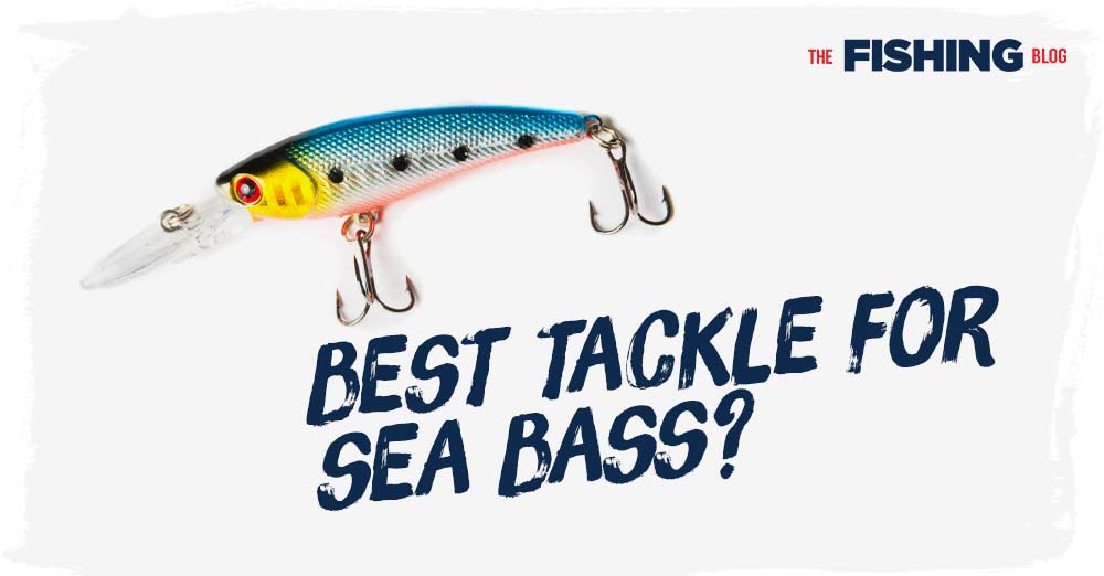 What-is-the-Best-Tackle-for-Bass-Fishing