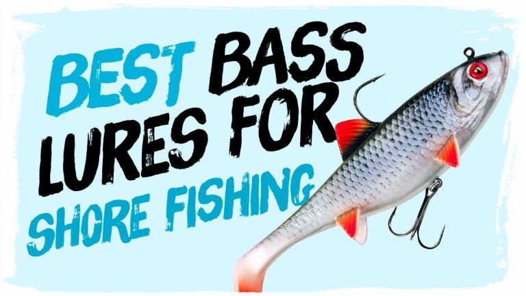 best-bass-lures-for-shore-fishing